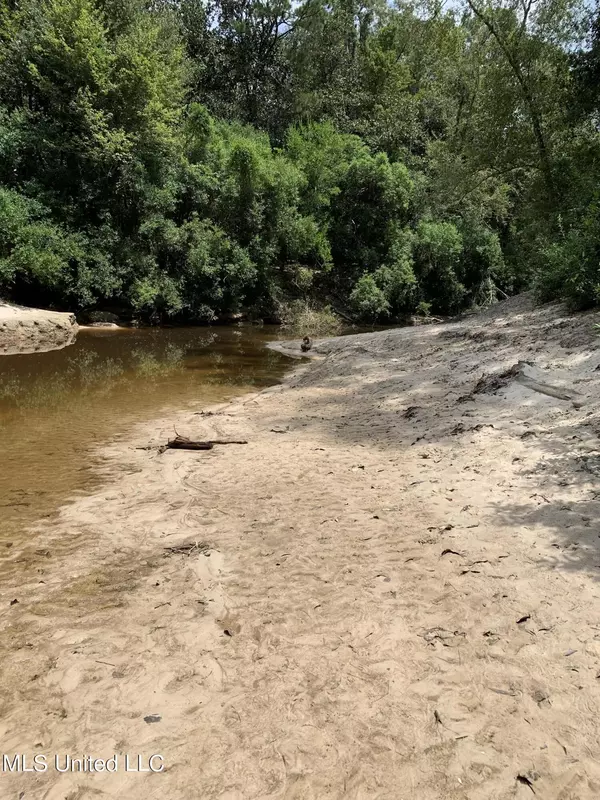 Saucier, MS 39574,Riverline Road