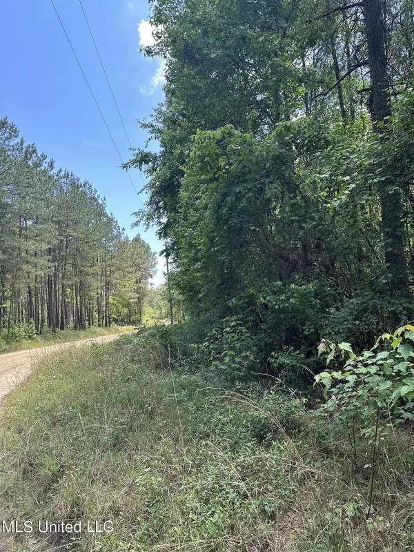 Neely, MS 39461,Hundred Acre Road