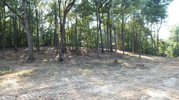 Sardis, MS 38666,499 Kimes Cove