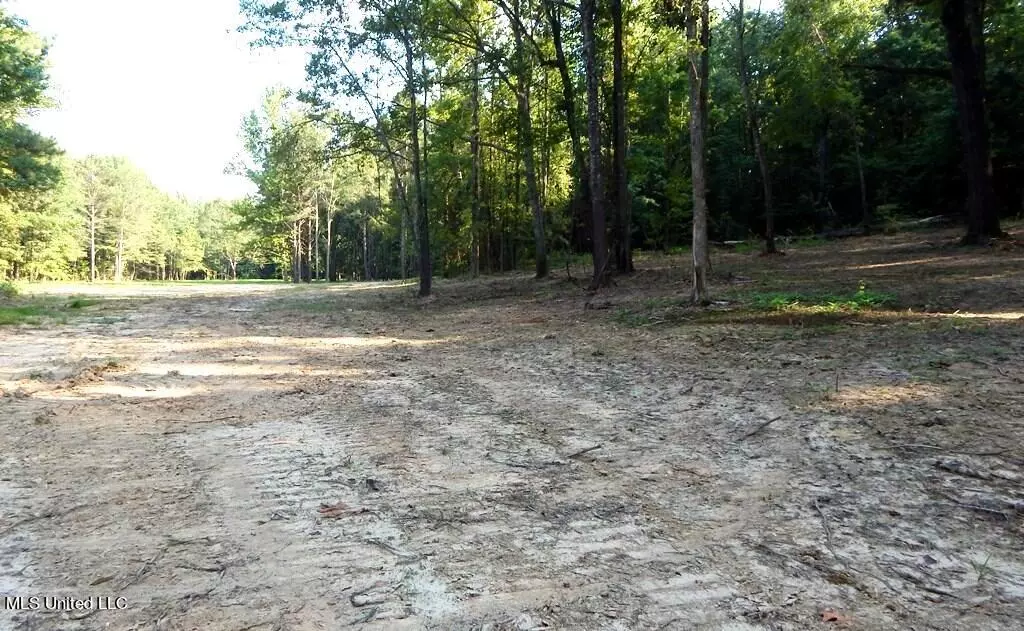 Sardis, MS 38666,499 Kimes Cove