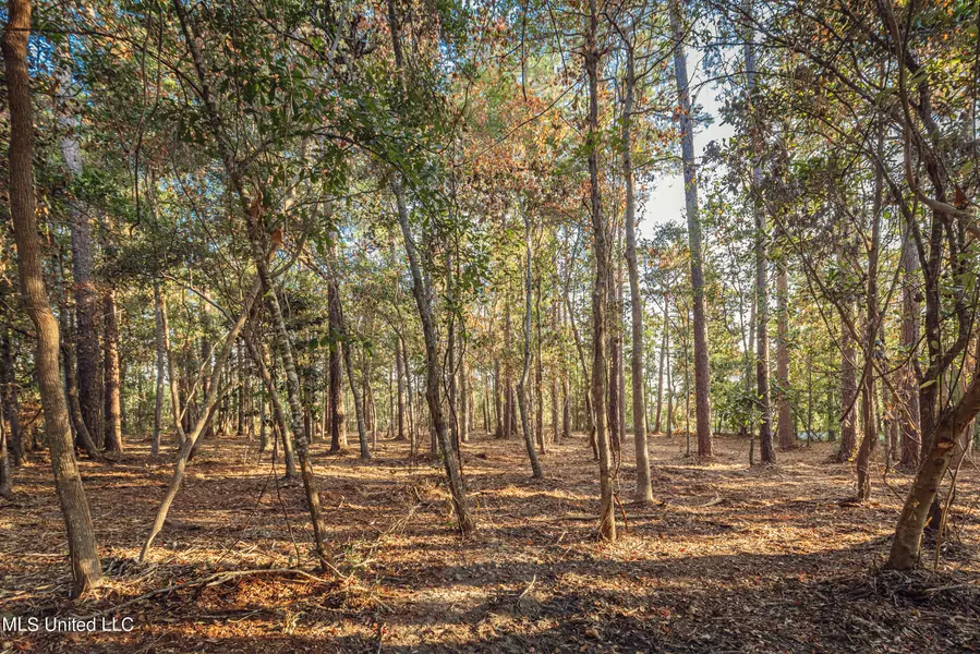 Bristol Blvd Boulevard, Ocean Springs, MS 39564