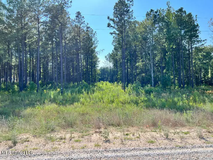 Brandon, MS 39047,591 Stump Ridge Road