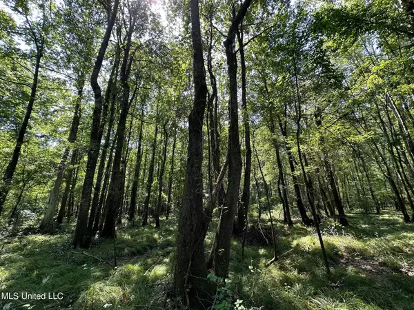 Carthage, MS 39051,Natchez Trace