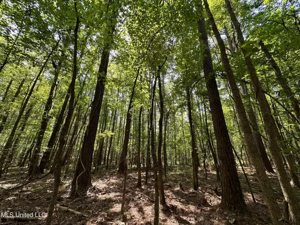 Carthage, MS 39051,Natchez Trace