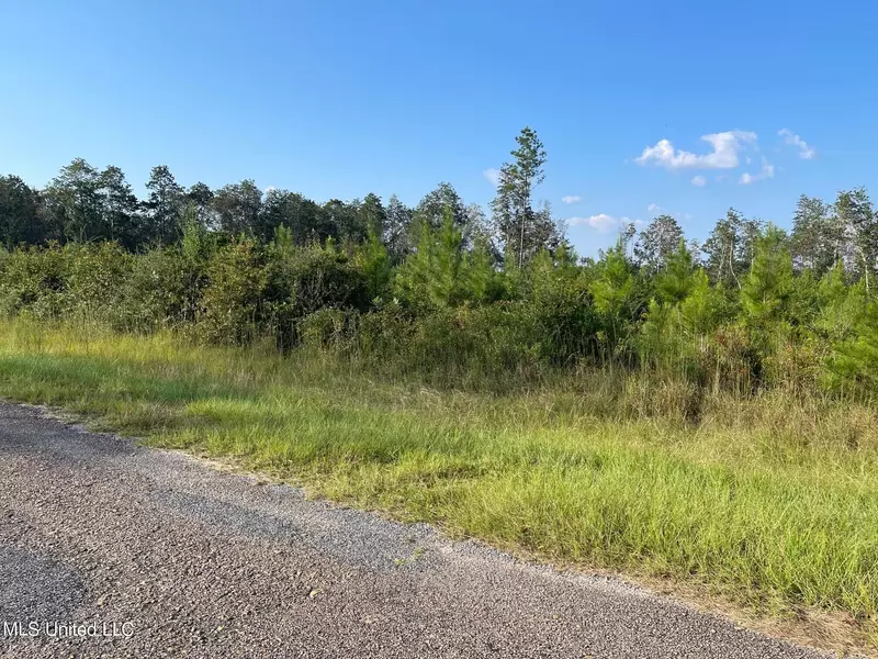Harlan Davis Road, Lumberton, MS 39455