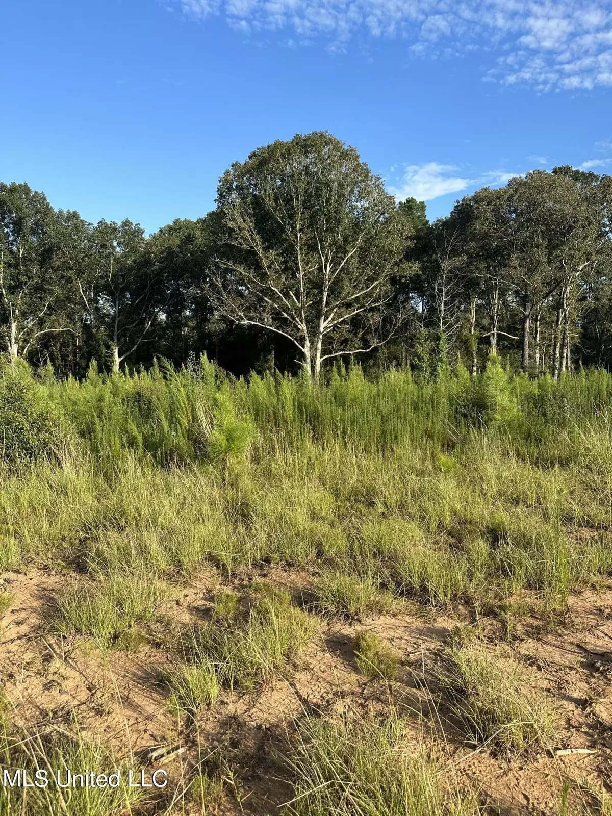 Carson, MS 39427,314 Alex Daley Road