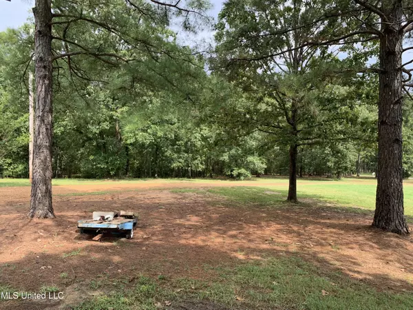 Gore Springs, MS 38929,336 Evening Shade Drive