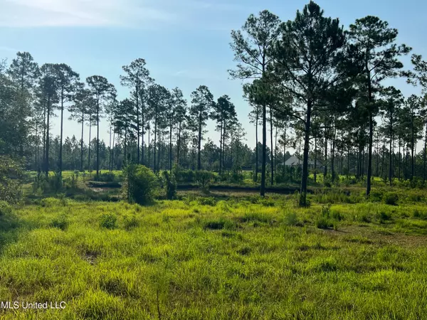 Lucedale, MS 39452,12 Jackson County Line Road