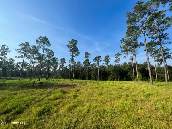 Lucedale, MS 39452,12 Jackson County Line Road