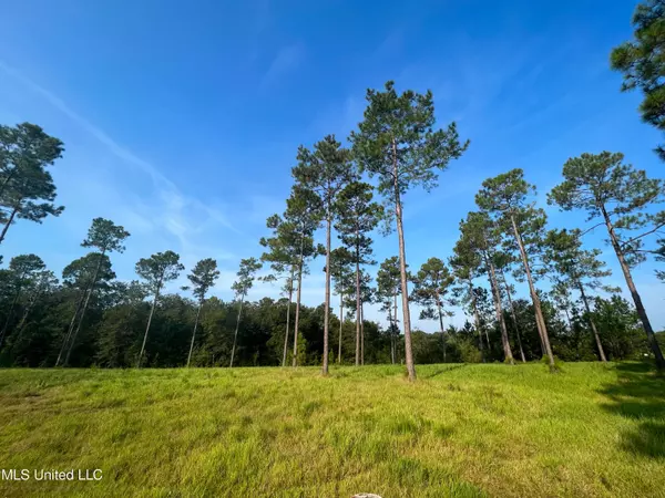 Lucedale, MS 39452,12 Jackson County Line Road