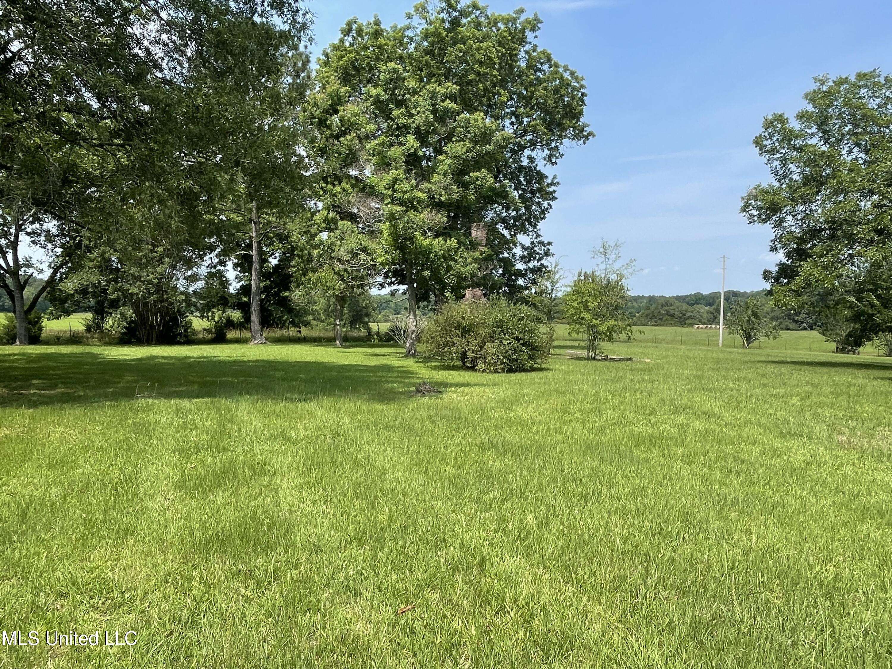 Canton, MS 39046,694 Pat Luckett Road