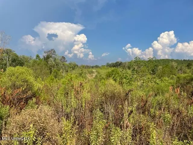 Forest, MS 39074,1 Sun Tower Road