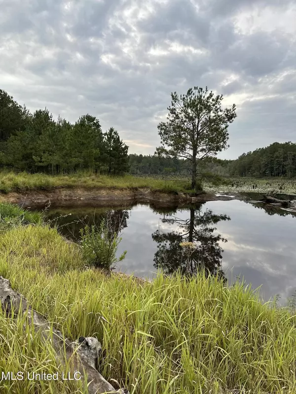 Neely, MS 39461,Hundred Acre Road Road