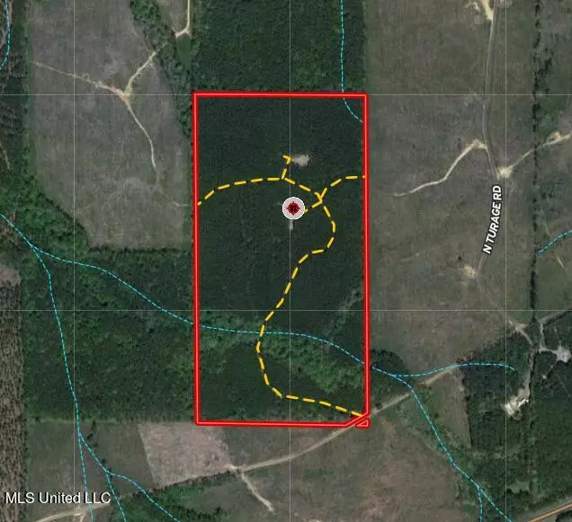 N Turnage Road, Pelahatchie, MS 39145