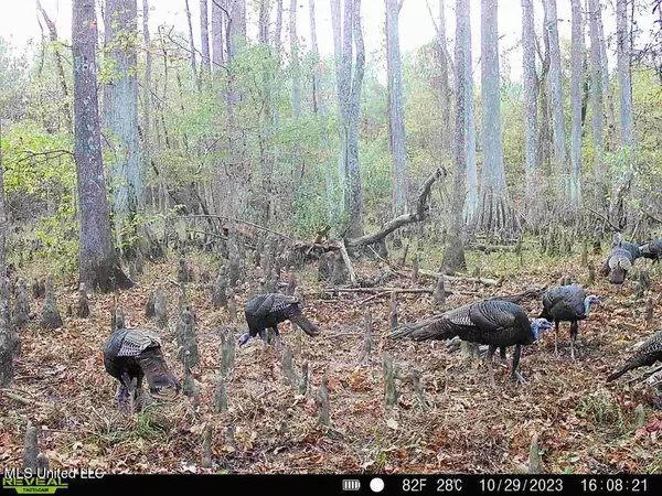 Canton, MS 39046,2 Natchez Trace Parkway