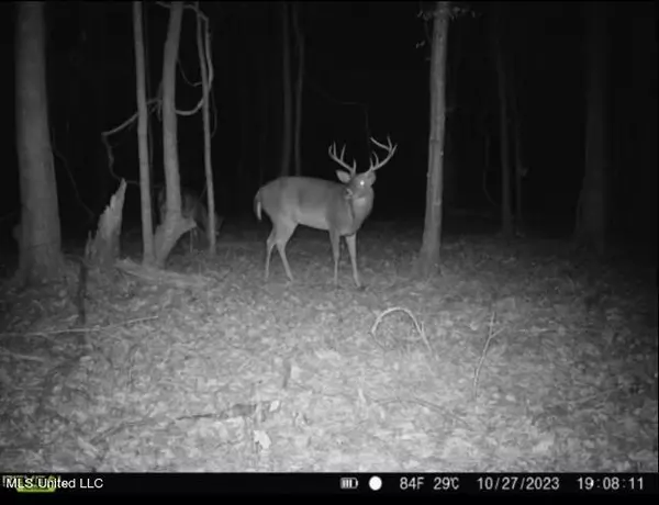 Canton, MS 39046,2 Natchez Trace Parkway