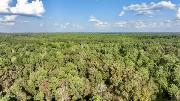 2 Natchez Trace Parkway, Canton, MS 39046