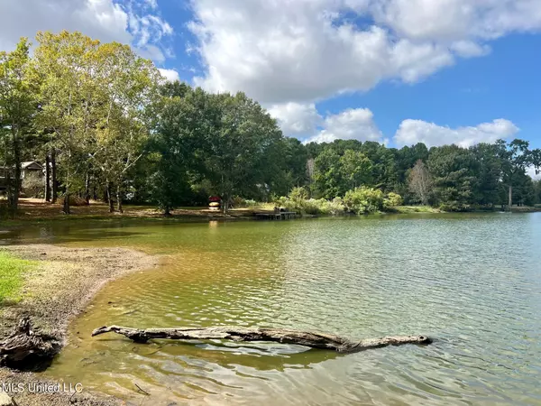 Flora, MS 39071,Trails End