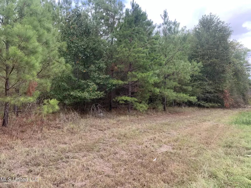 28123 Highway 51, Crystal Springs, MS 39059
