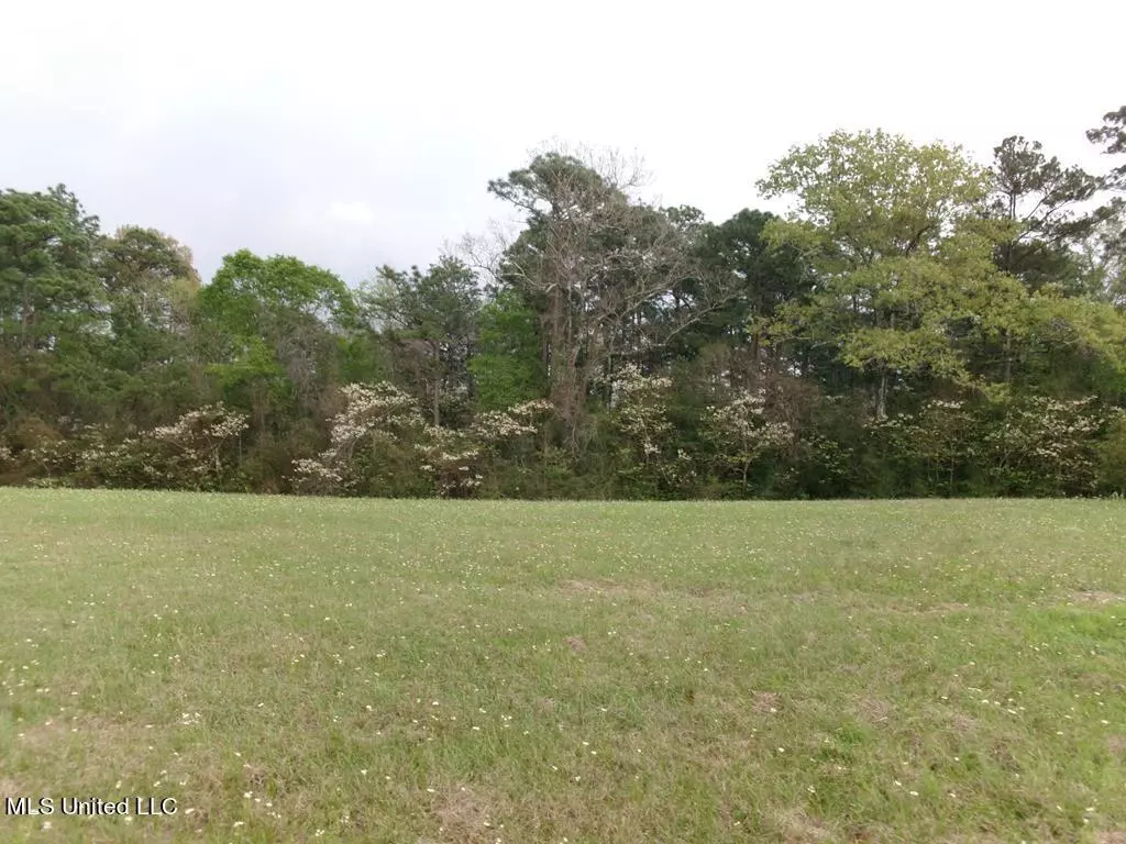 Carriere, MS 39426,Shorecrest Circle