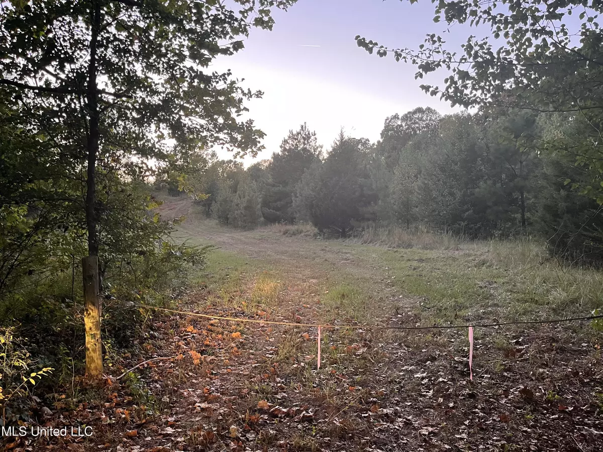 Red Banks, MS 38661,Camp Ground Road