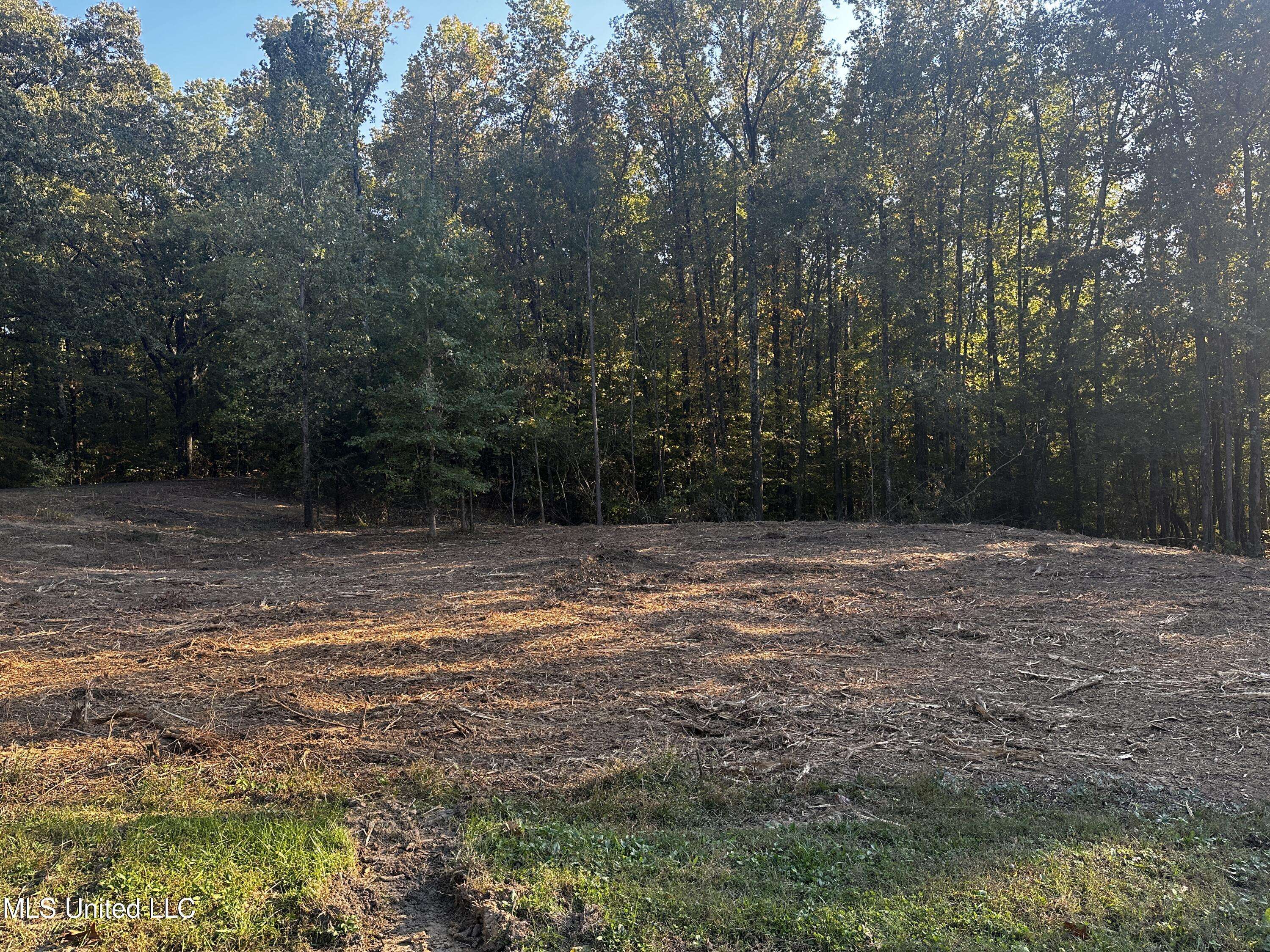 Lake Cormorant, MS 38641,15 Michael Drive