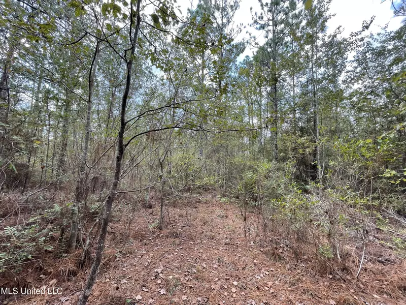 0 Garrett Drive, Lumberton, MS 39455