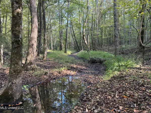 Lexington, MS 39095,1 Hebron Road