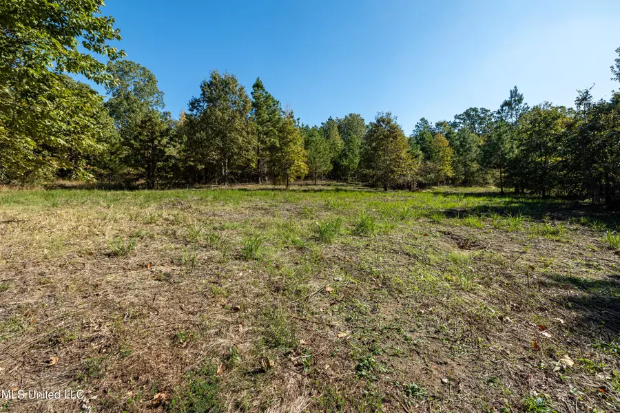 Swan Lake Drive, Coldwater, MS 38618