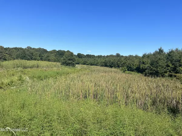 Lambert, MS 38643,Pinion Road