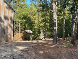 Holly Springs, MS 38635,974 Tyro Road