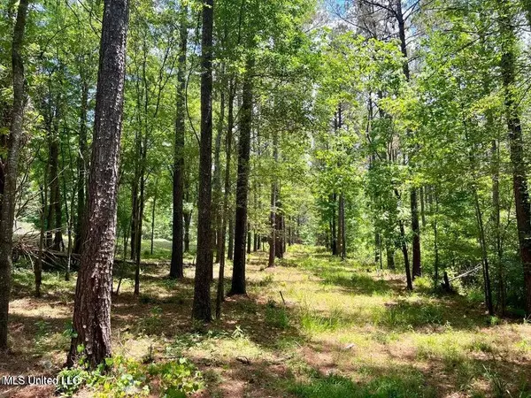 Spring Creek Rd, Flora, MS 39071