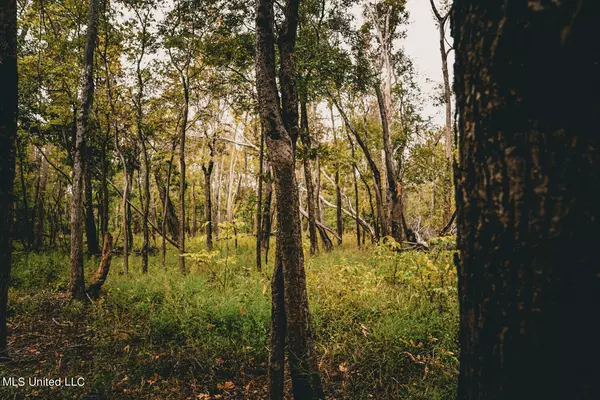 6581 Pecan Grove Road, Woodville, MS 39669