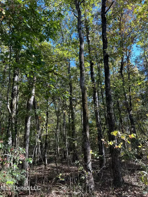 Duck Hill, MS 38925,910 Harmony Road