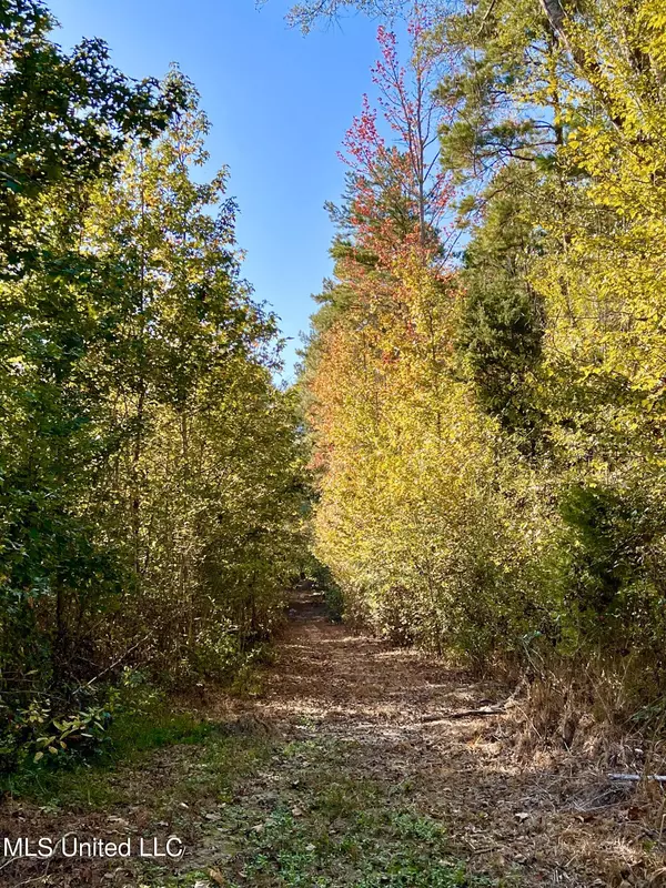 Duck Hill, MS 38925,910 Harmony Road