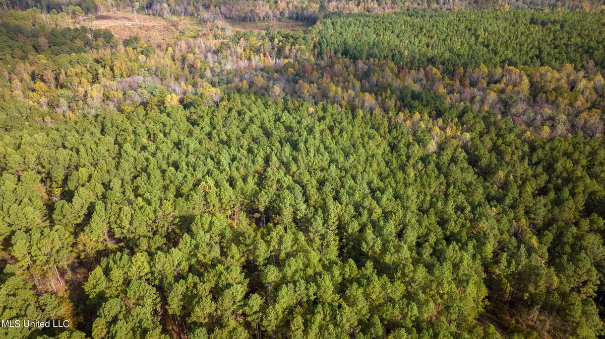 French Camp, MS 39745,Natchez Trace / Smith Rd.