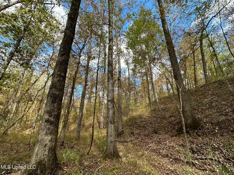 0 Jack Rd Road, Utica, MS 39175