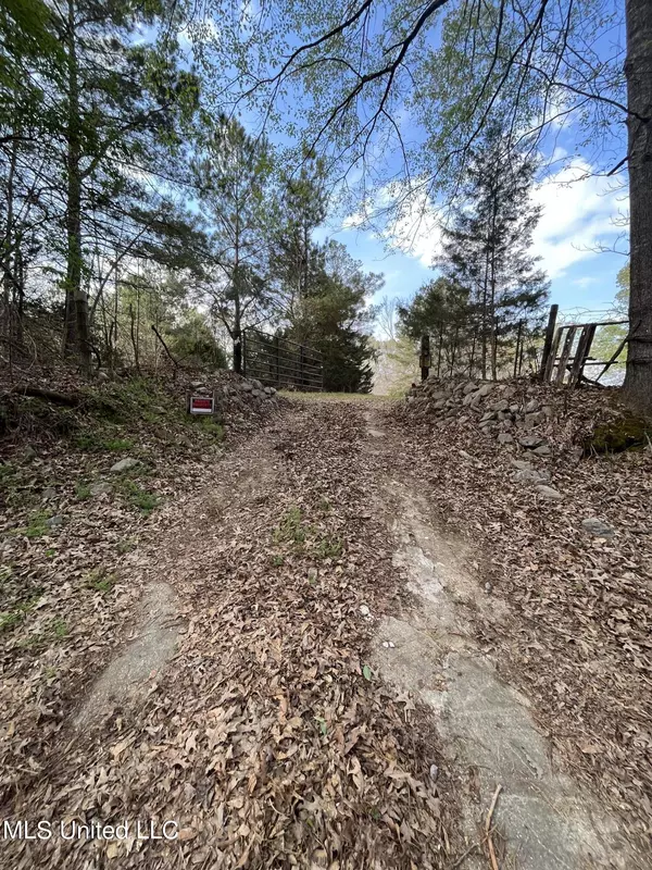 Edwards, MS 39066,10370 Old Port Gibson Rd