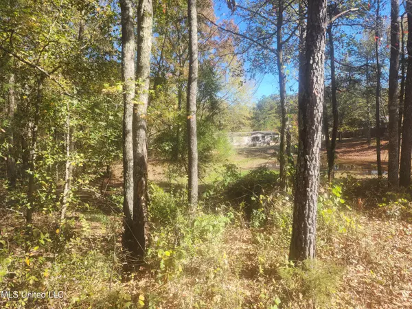 Holly Springs, MS 38635,49 Raven Roost Road