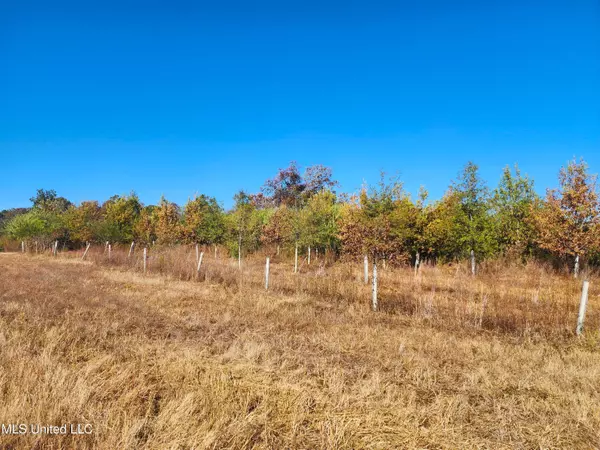 Holly Springs, MS 38635,Sadie Manuel Road