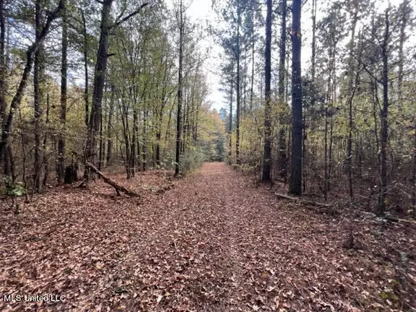 Falkner, MS 38629,C.R. #400 Road