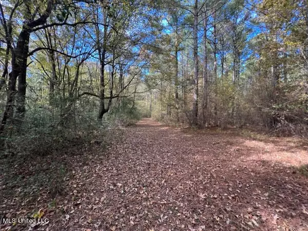 Falkner, MS 38629,C.R. #400 Road