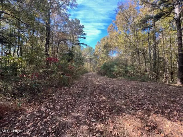 Falkner, MS 38629,C.R. #400 Road