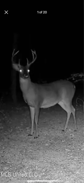0 Hwy 84, Prentiss, MS 39474