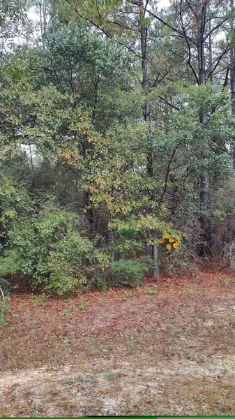 Timberbluff Drive, Lumberton, MS 39455