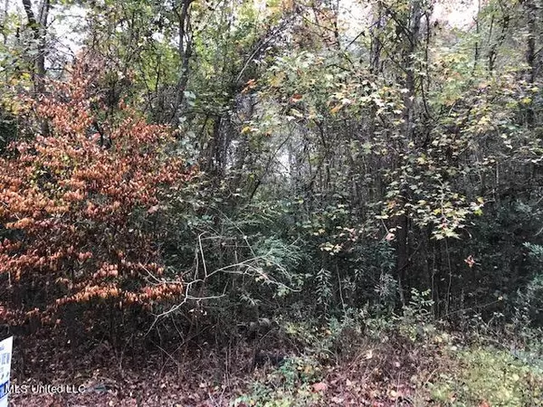 River Loop, Beaumont, MS 39423