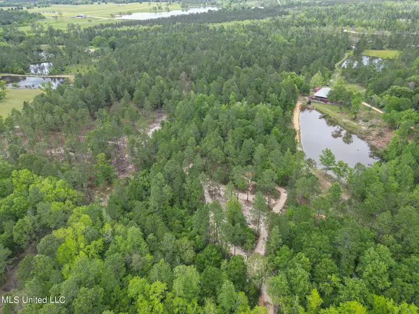 Perkinston, MS 39573,Perkinston Silver Run Road