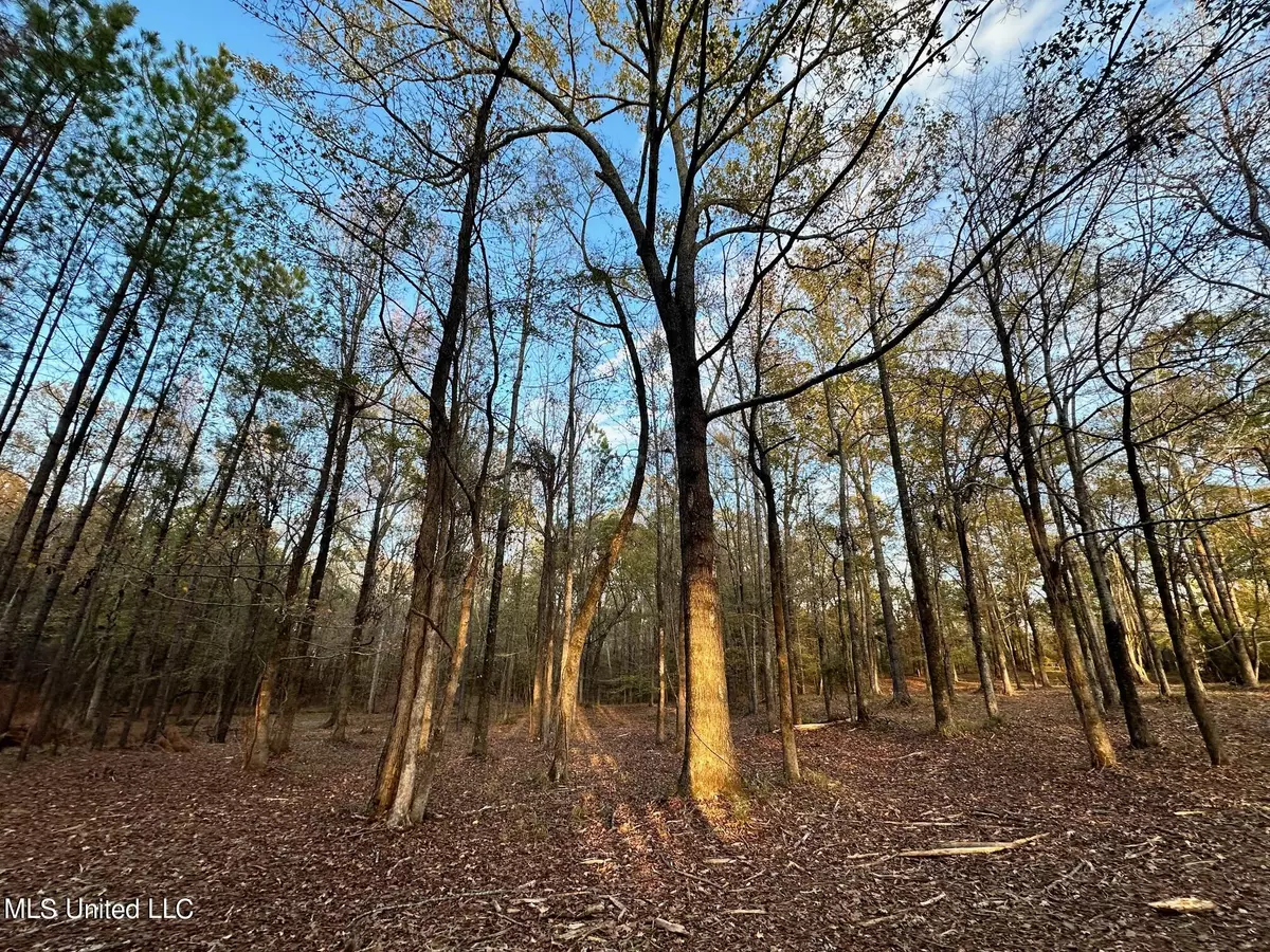 Florence, MS 39073,Shadow Creek Drive