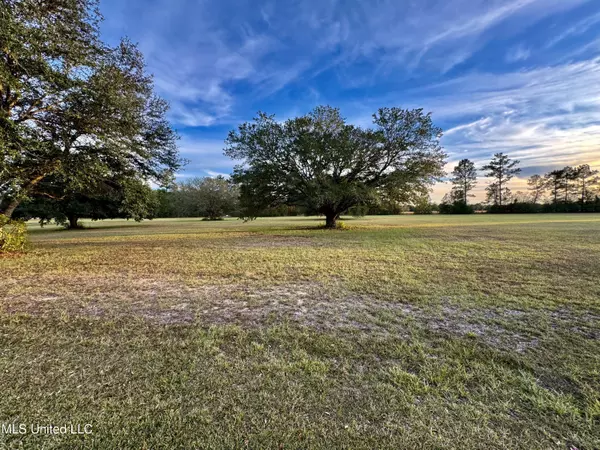 Carriere, MS 39426,20 Anastasia Drive