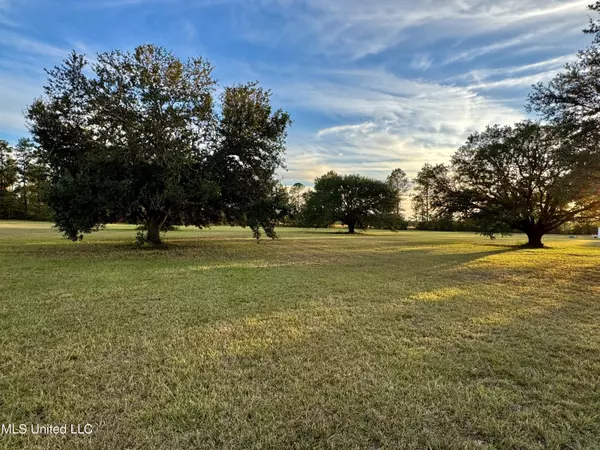 Carriere, MS 39426,20 Anastasia Drive